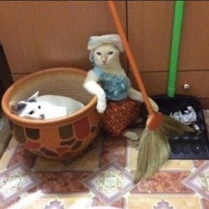 Meet your Posher, Blake